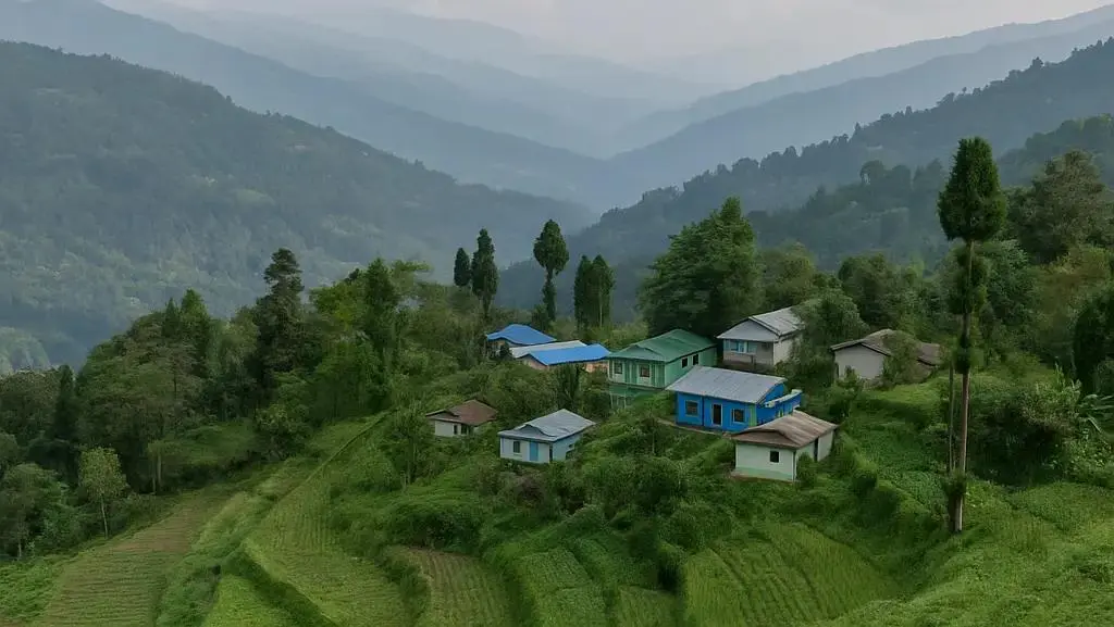 Fikkel Gaon